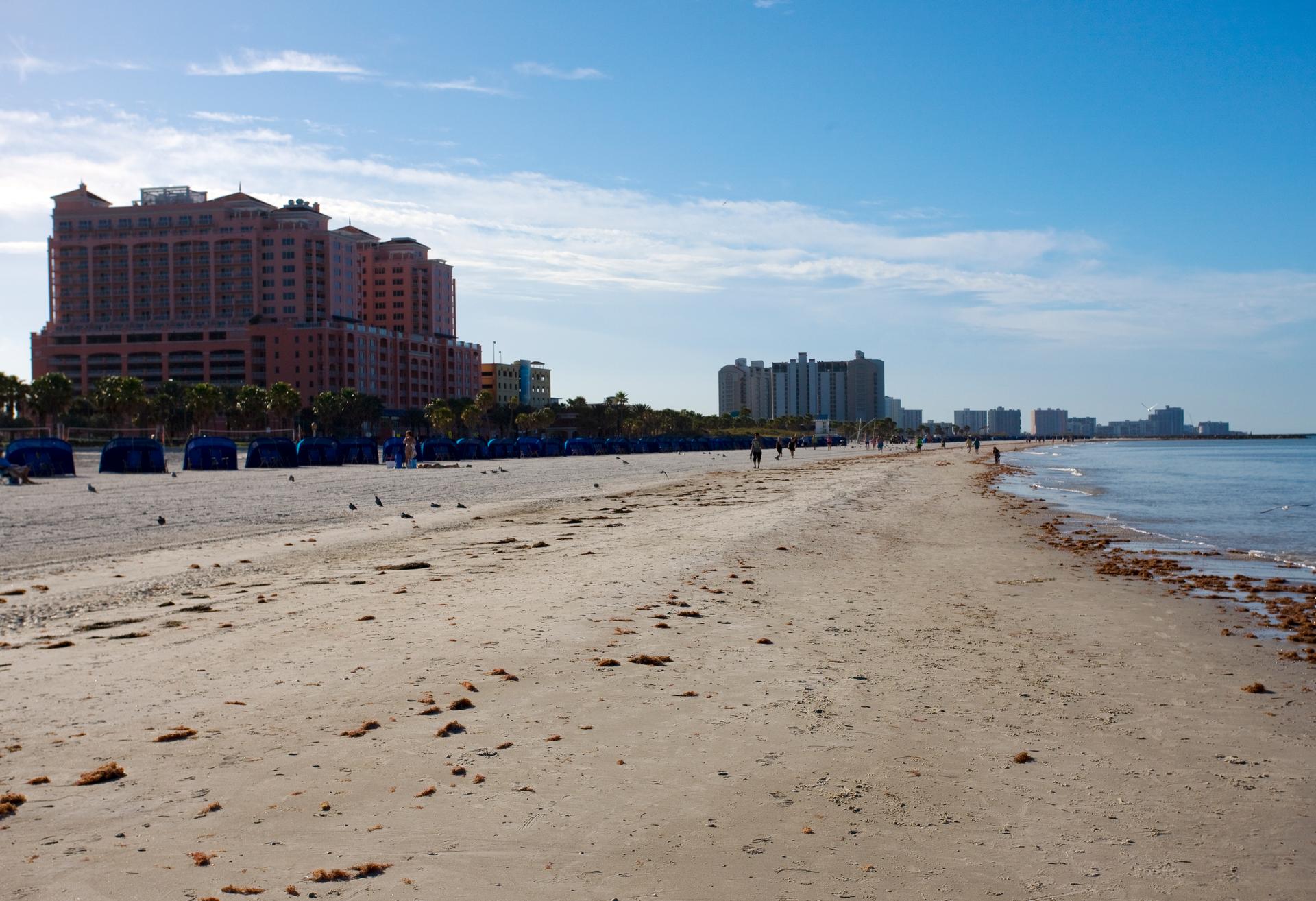 Mobile auto detailing service area in Clearwater, FL